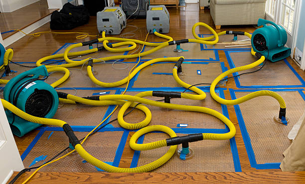 Professional Storm Water Damage Restoration technician working in Millsboro, PA